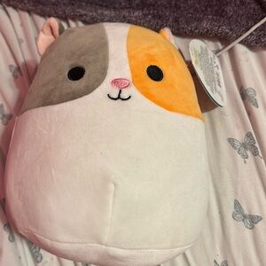 Squishmallow “Everett”